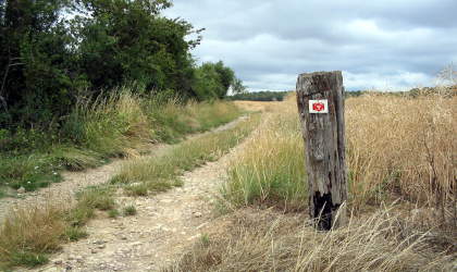 Langs de GR5 in Noord-Frankrijk