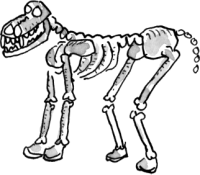 Mag ik van de Enge Dieren het Dode Dier?